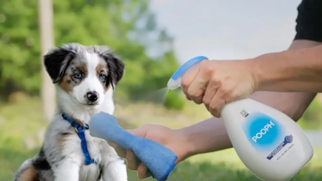 A still from the Pooph spot: the spray used on a cloth with a puppy nearby